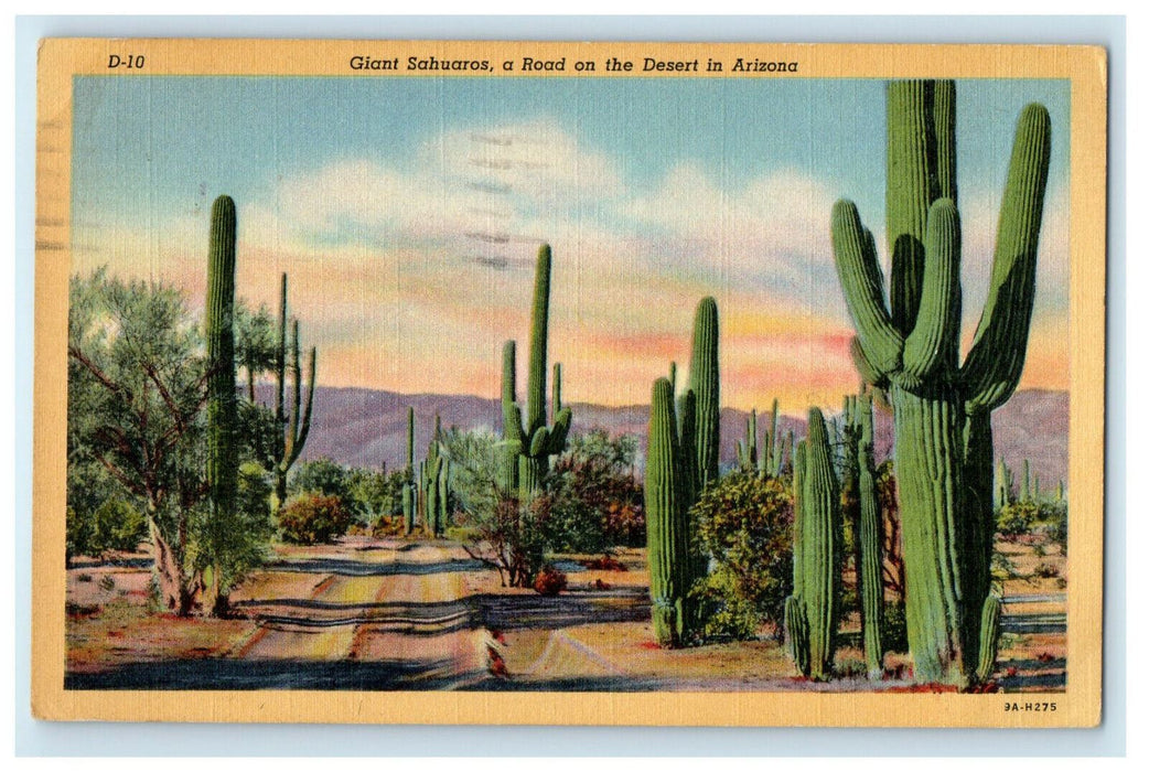 1945 Giant Sahuaros, A Road on Desert in Arizona AZ Posted Vintage Postcard