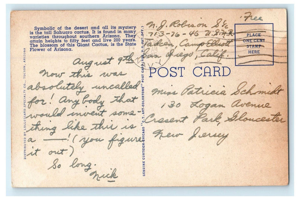 1945 Giant Sahuaros, A Road on Desert in Arizona AZ Posted Vintage Postcard