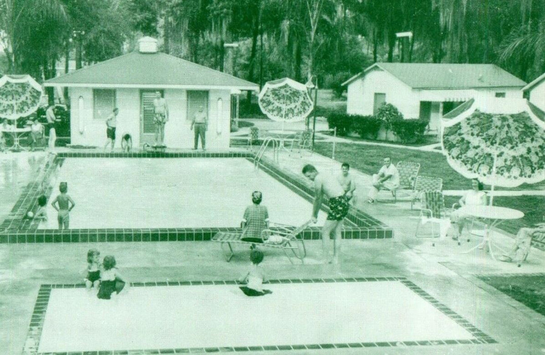 c1950's Heated Swimming Pool Ocala Motor Court Ocala Florida FL Postcard