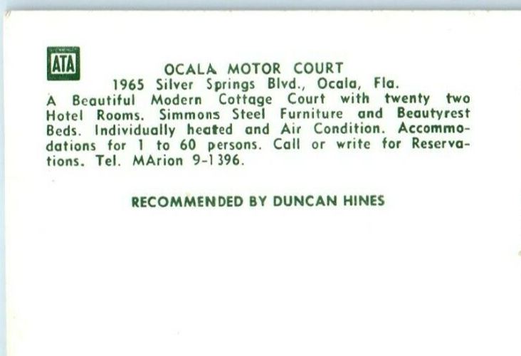 c1950's Heated Swimming Pool Ocala Motor Court Ocala Florida FL Postcard
