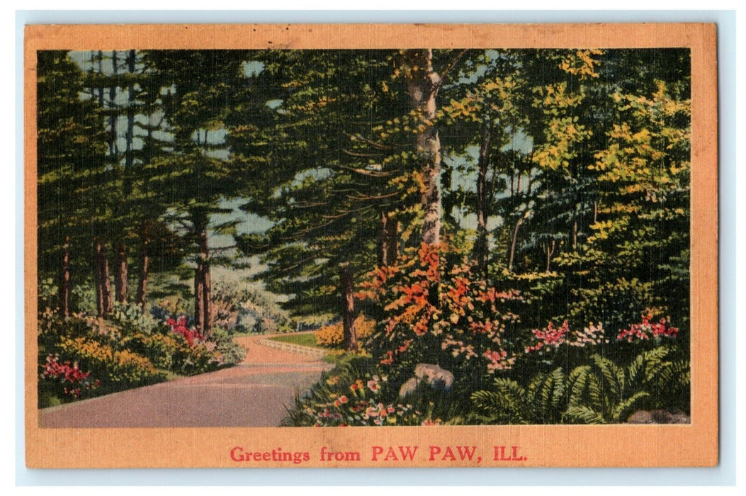 Greetings From Paw Paw Illinois Country Road c1940 Vintage Antique Postcard