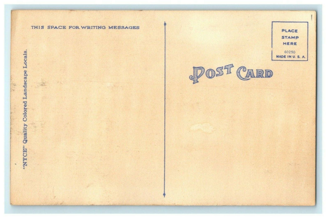 Greetings From Paw Paw Illinois Country Road c1940 Vintage Antique Postcard