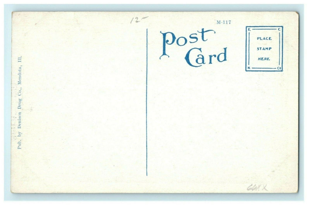 Tourist Camp Mendota Illinois c1920 Vintage Antique Postcard