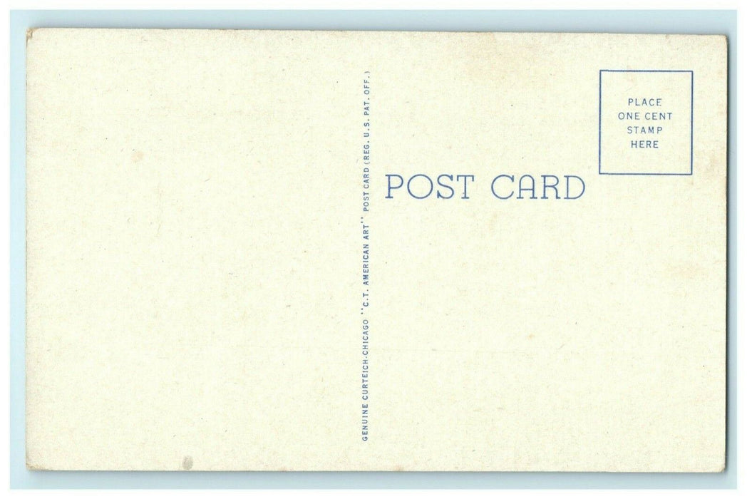 Lowell Park Picnic and Playground Dixon Illinois c1930 Vintage Antique Postcard