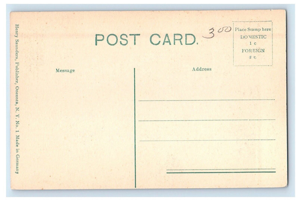 c1910's Electric Light Dam Boat Oneonta New York NY Unposted Antique Postcard