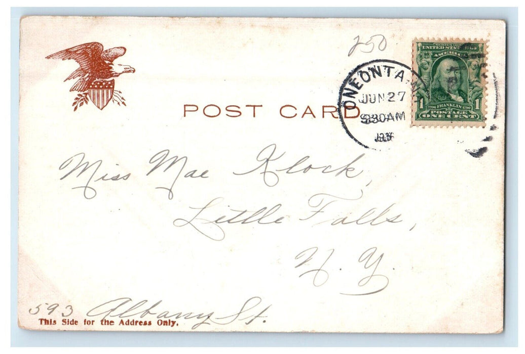 c1905 A View Of Electric Lake Boat Oneonta New York NY Posted Antique Postcard