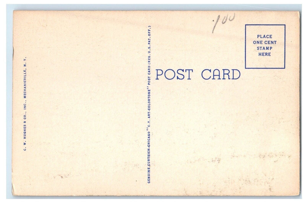 c1930's View Of Public Swimming Pool Wilber Park Oneonta New York NY Postcard
