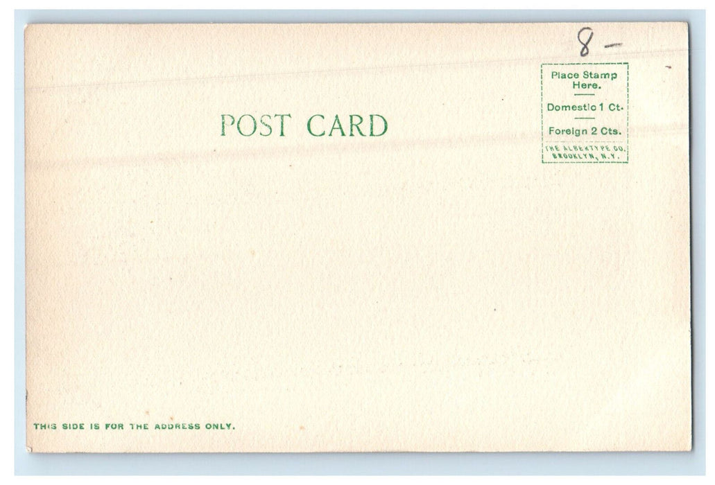 c1905 Chalybeate Springs Spring Grove Greetings from Brushton NY Postcard