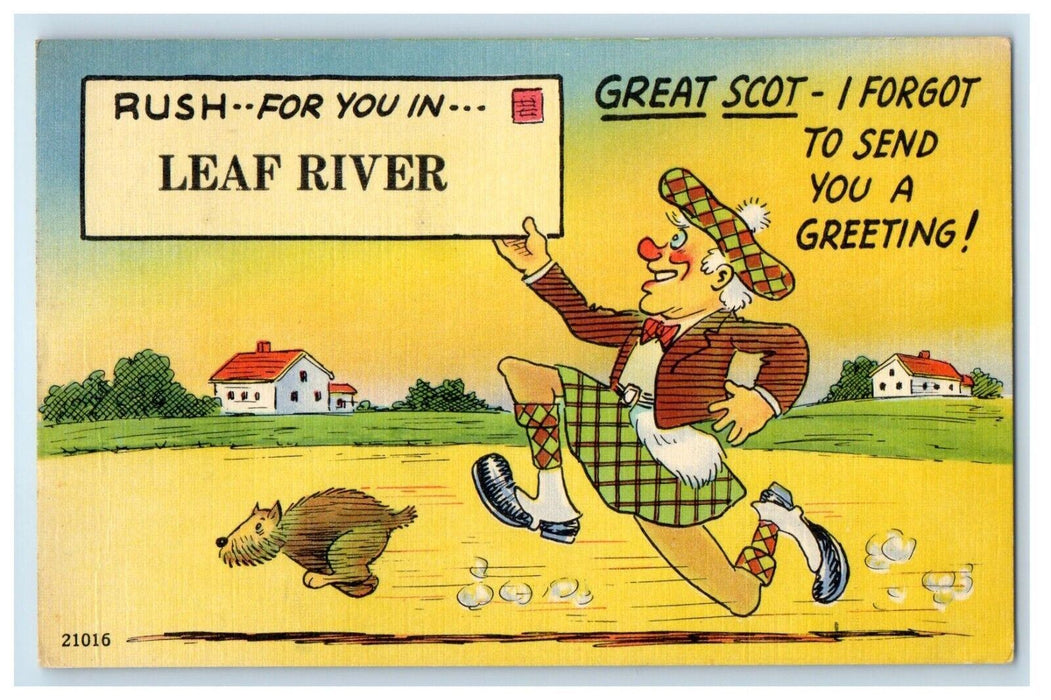 1949 Scottish Kilt Chasing Beaver Leaf River Illinois IL Comic Humor Postcard