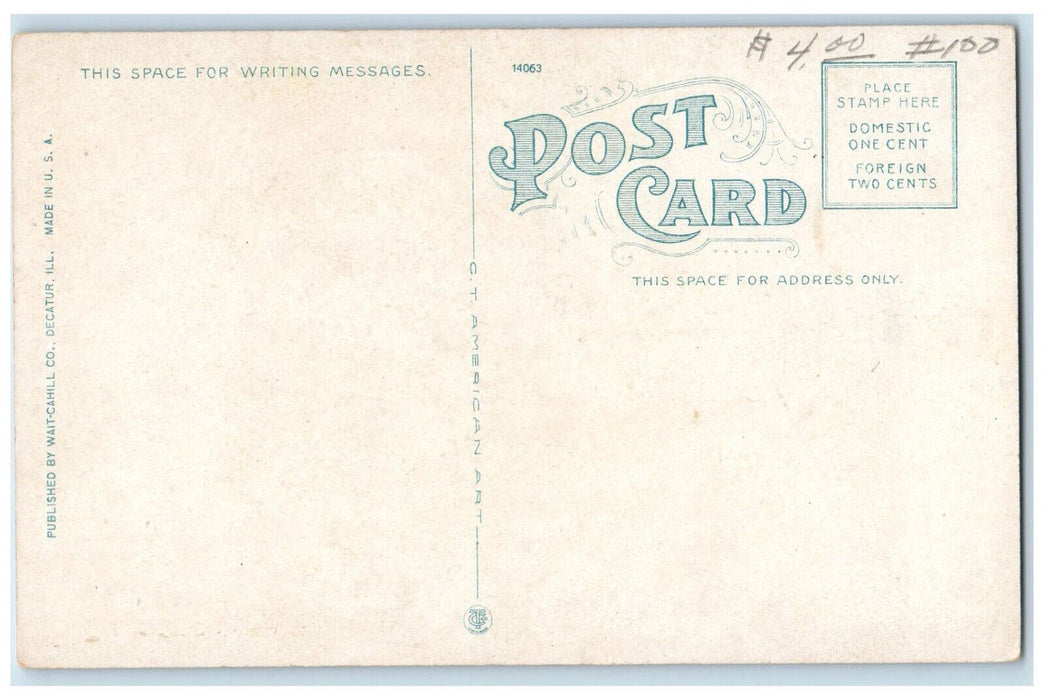 c1920s Macon County Court House, Decatur Illinois IL Unposted Postcard