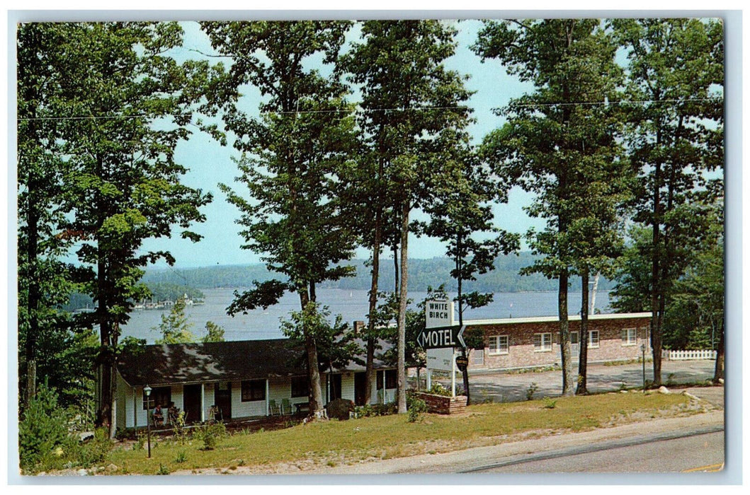 c1970s White Birch Motel, Overlooking Lake Sunapee, New Hampshire NH Postcard