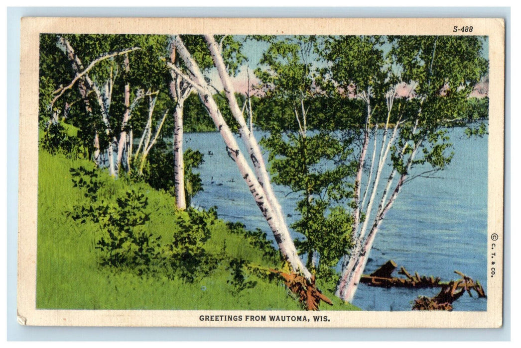 1940 Thin Trees View, Greetings from Wautoma Wisconsin WI Vintage Posted