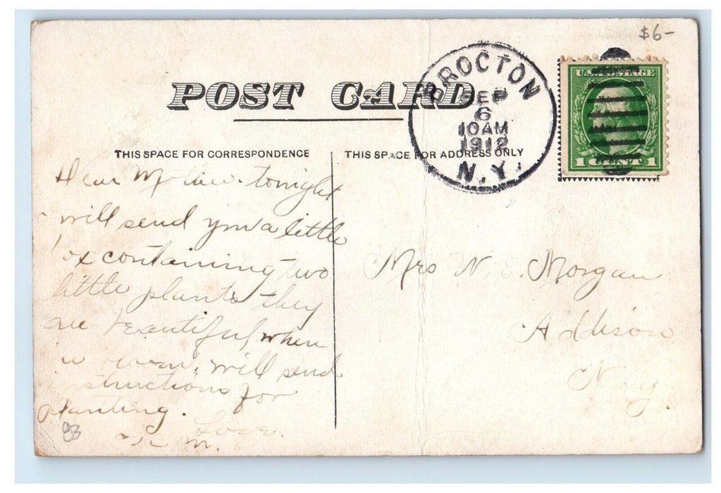 1912 Crandall Panell Co. Horse And Wagon Brocton New York NY Antique Postcard