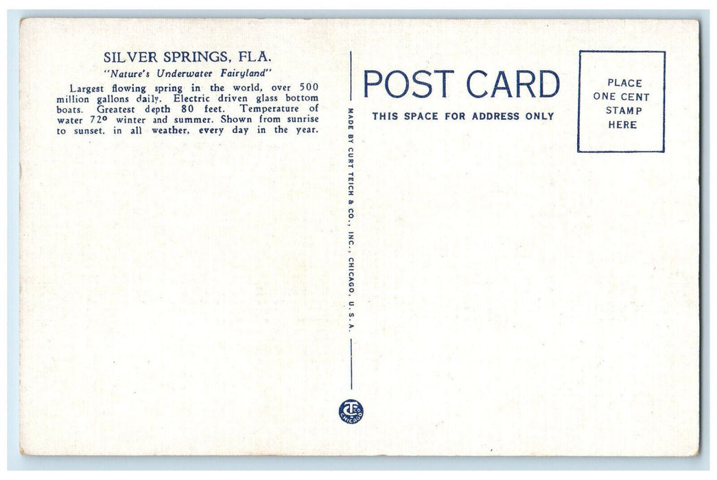c1930's Electric Drive Glass Bottom Boats, Beautiful Silver Springs FL Postcard