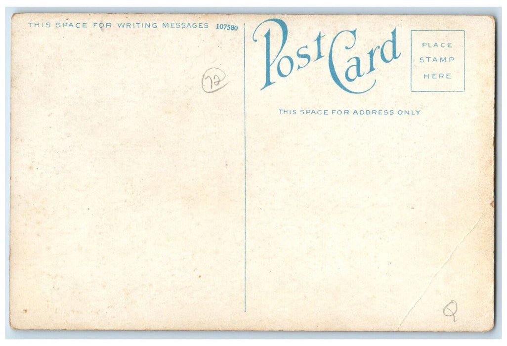 c1920's Entrance of The Hollenbeck St. Petersburg Florida FL Unposted Postcard