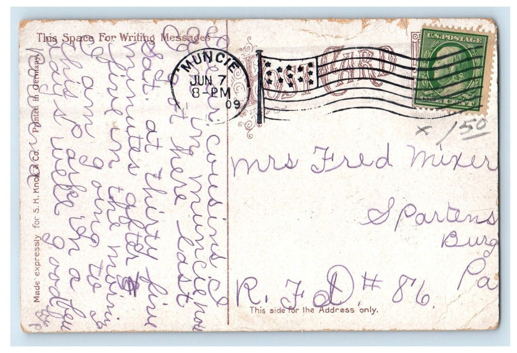 1909 A View Of McCulloch Park Muncie Indiana IN Posted Antique Postcard