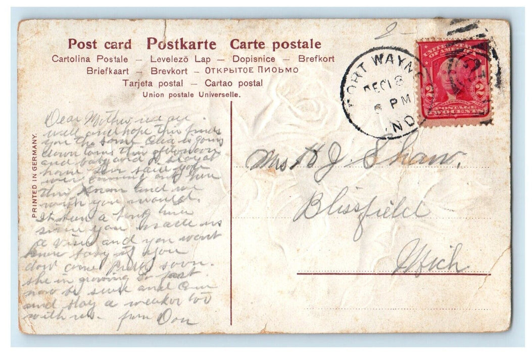 c1910's Greetings From Fort Wayne Indiana IN, Flowers Glitter Embossed Postcard