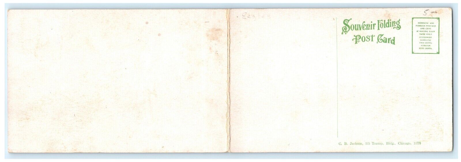 c1910 Fold Out Interior Fraternal Order Eagles No. 46 Lounge Buffalo NY Postcard