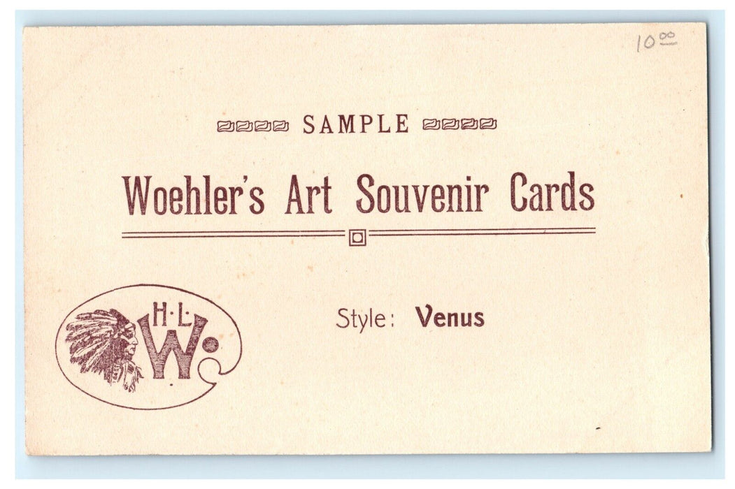 c1910 Salesman's Sample Woehler's Art Souvenir Cards Advertising Postcard