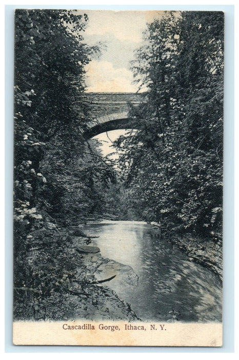 c1910 Salesman's Sample Woehler's Art Souvenir Cards Advertising Postcard