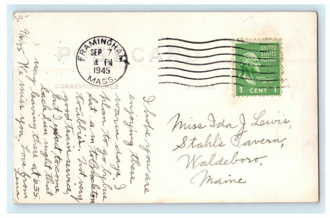 1945 Strange TreeBeach Framingham Massachusetts MA RPPC Photo Postcard
