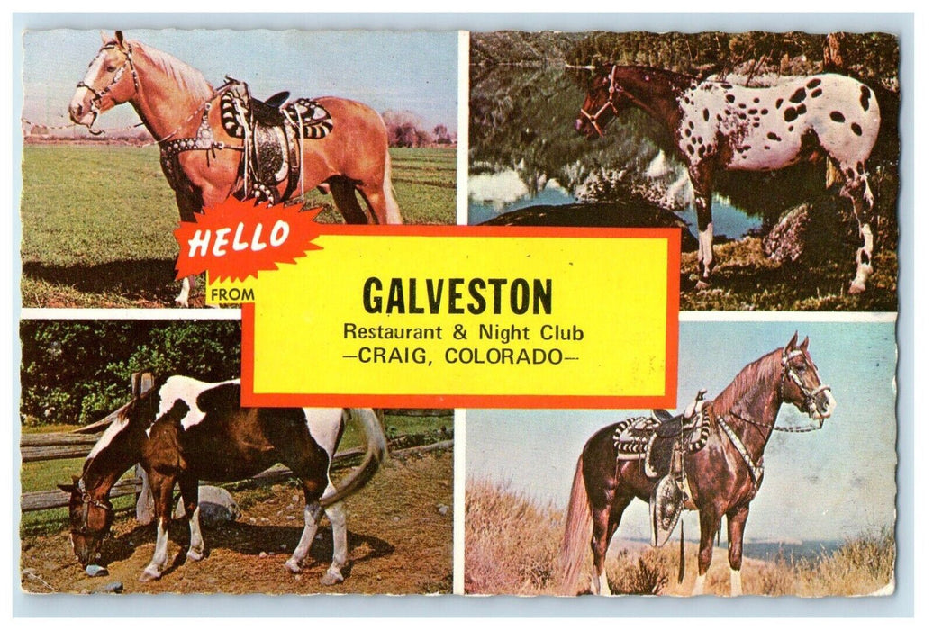 Galveston Restaurant & Night Club Craig Colorado CO, Horsemanship Postcard