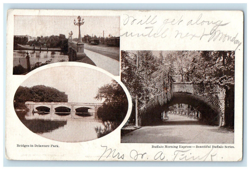 c1905 Bridges In Delaware Park And Buffalo Morning Express NY Multiview Postcard