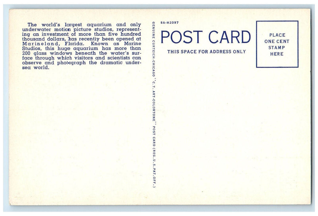 c1940's Large Aquarium at Marine Studios at Marineland Florida FL Postcard