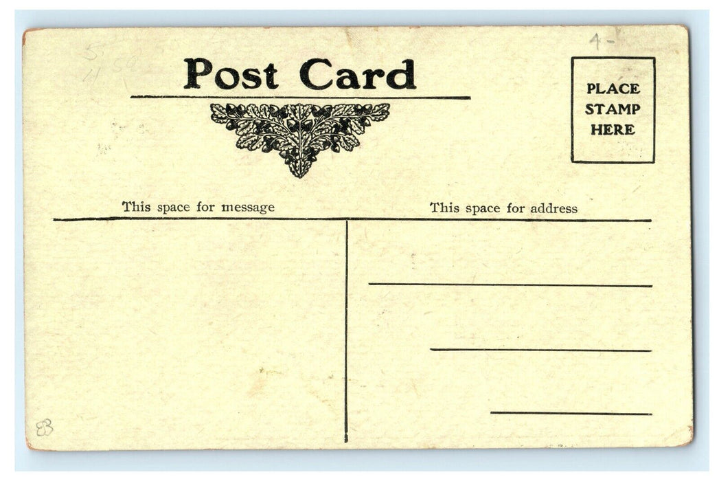 c1910 Buffalo Advertising Steamer Victorian Girl Niagara Falls Poem NY Postcard