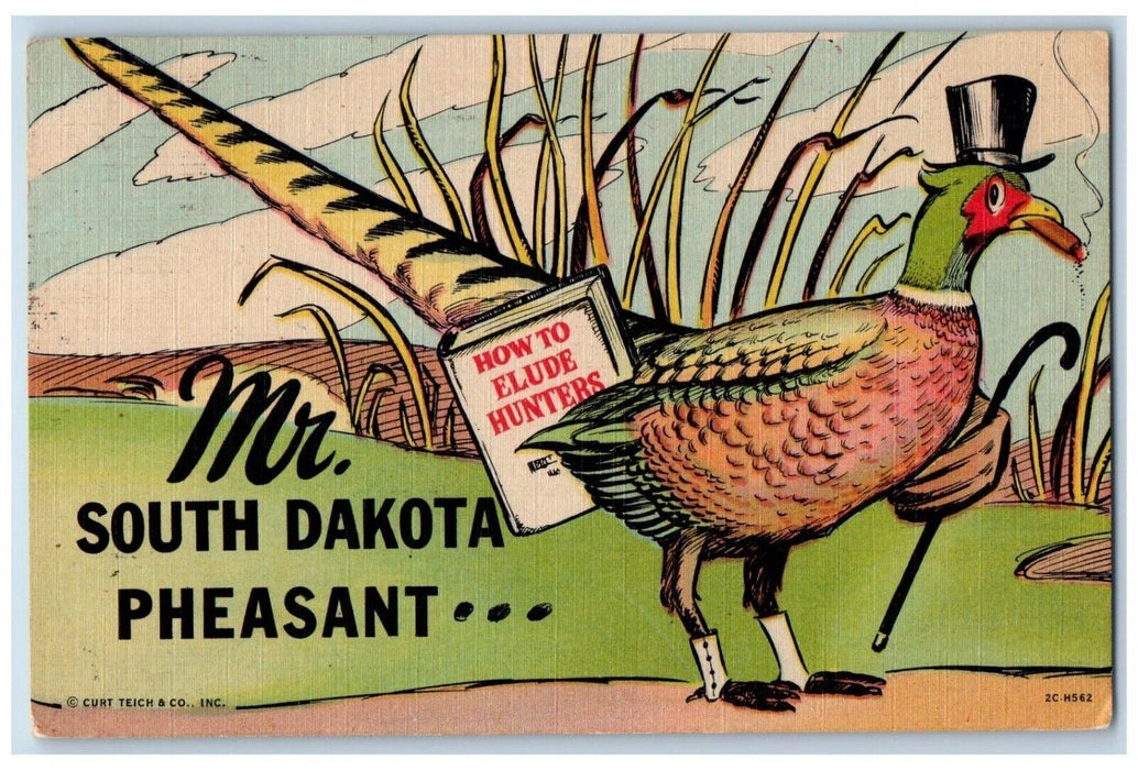 1953 Mr. South Dakota Pheasant Chicken Hen Cigarette Hat Posted Vintage Postcard