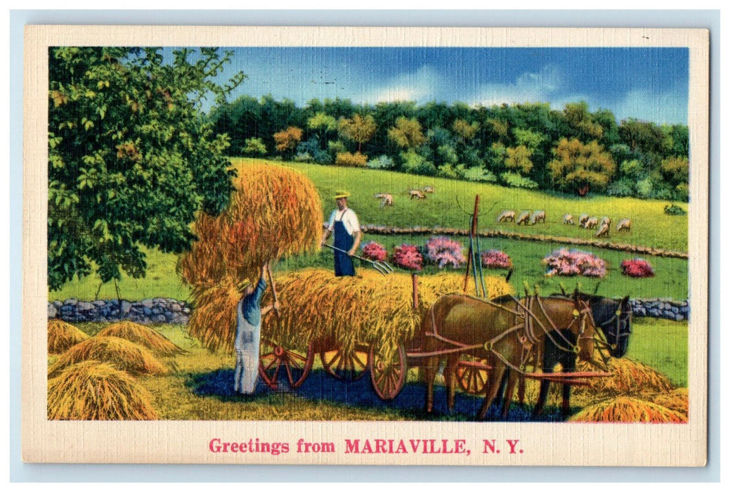 c1930s Horse Carrying Barn Hay, Greetings from Mariaville New York NY Postcard
