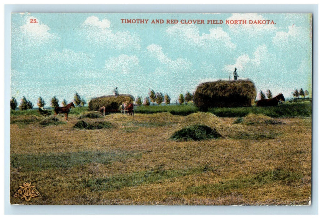 c1910s Timothy and Red Clover Field North Dakota ND Postcard Co Postcard
