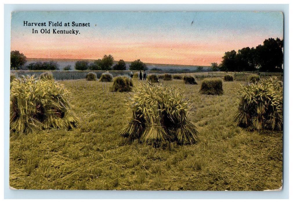 1917 Harvest Field at Sunset In Old Kentucky KY Posted Antique Postcard