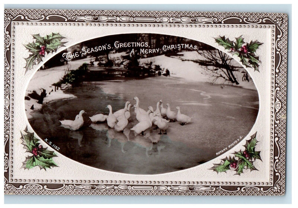 1910 Christmas Greetings Ducks Holly RPPC Photo Embossed Antique Postcard