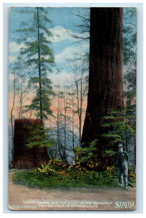 c1910 Adams Crown and the Stump of the Roosevelt, Seattle Washington WA Postcard