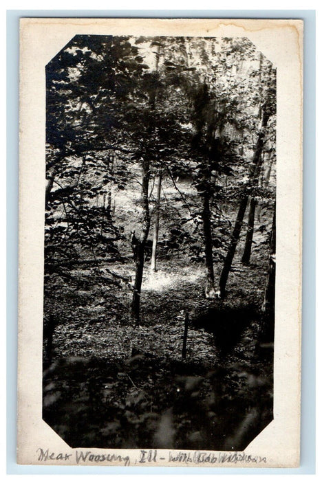 c1910's Forest View Near Woosung Dixon Illinois IL RPPC Photo Antique Postcard