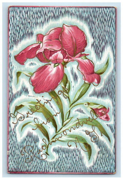 1907 Red Flower, Greetings from Richmondville New York NY Glitters Postcard