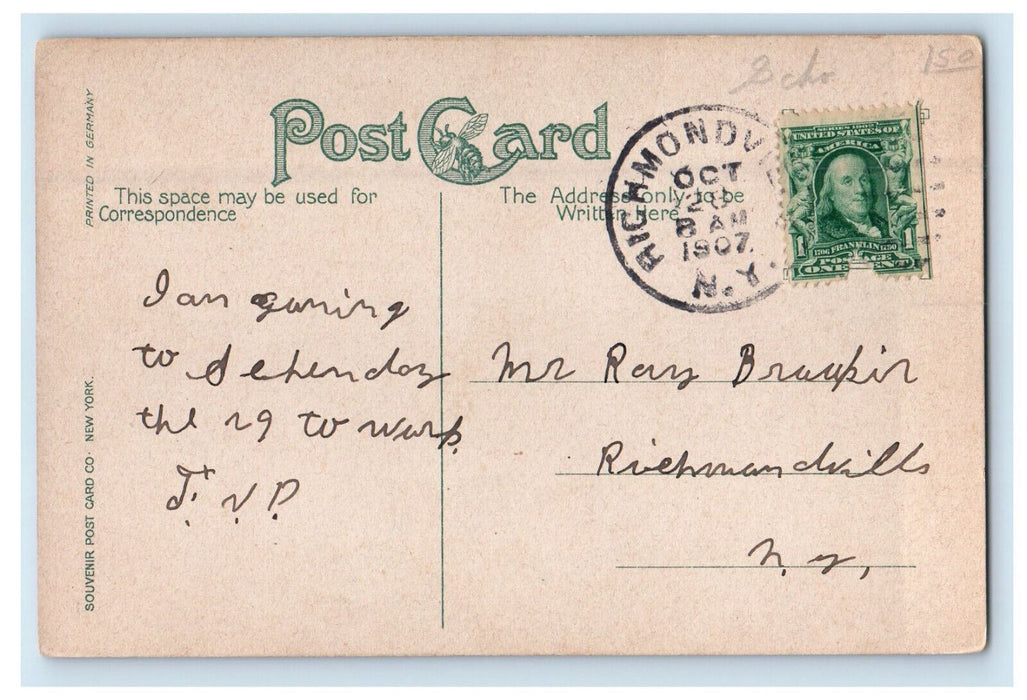 1907 Red Flower, Greetings from Richmondville New York NY Glitters Postcard
