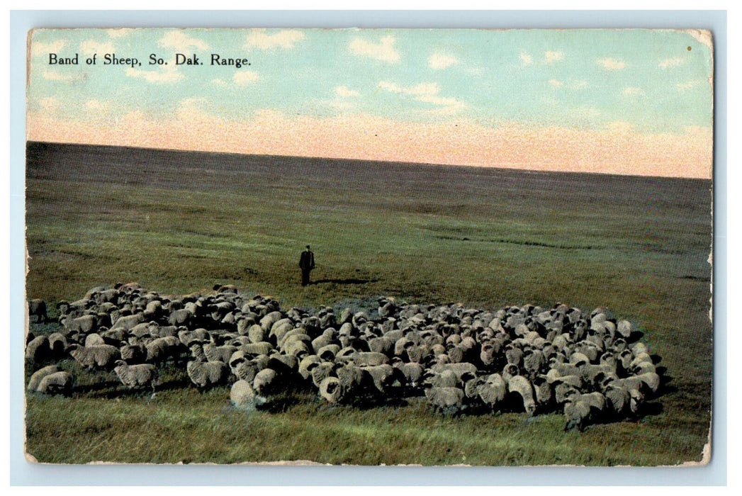 1910 Band of Sheep, South Dakota SD Range Grand Rapids OH Antique Postcard