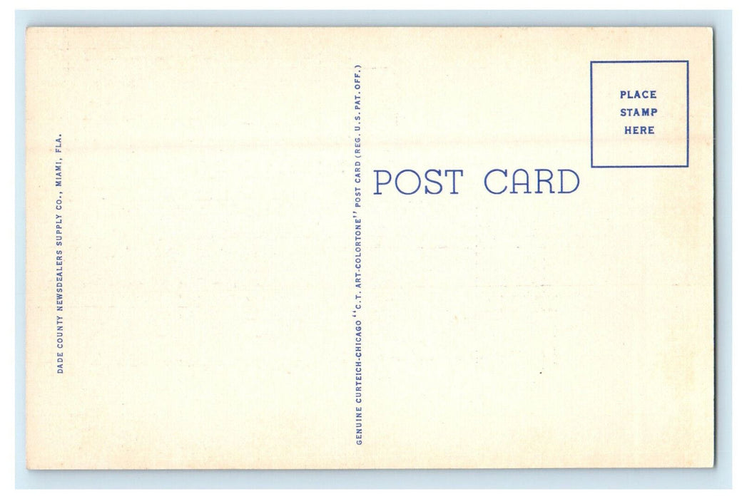 c1930s Florida Seminole Indian and Her Papoose in Everglades Unposted Postcard