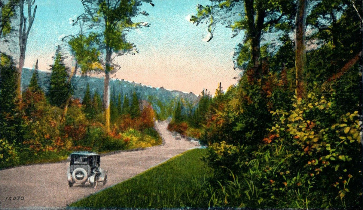 1929 Antique Car Scene, Greetings from Lisbon, New Hampshire NH Posted Postcard