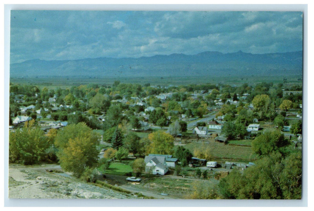 c1960s Located on Central Utah Highway US 89 and I-70 Salina UT Postcard