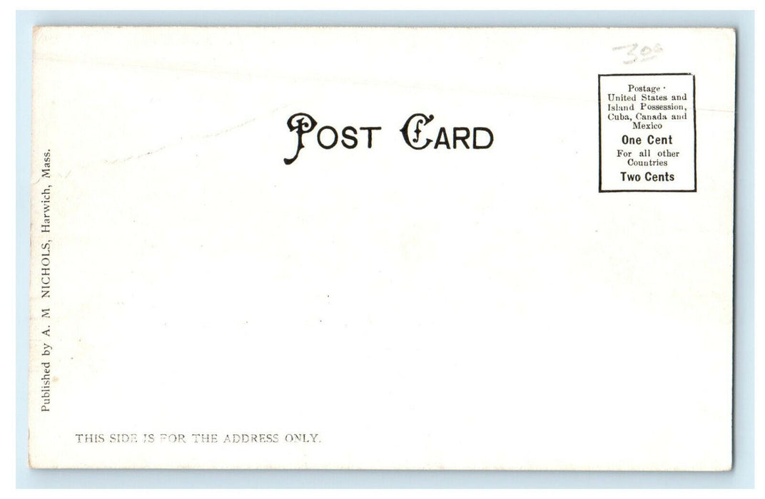 c1905s Sketched Imaginary Cape Cod View Massachusetts MA Unposted Postcard