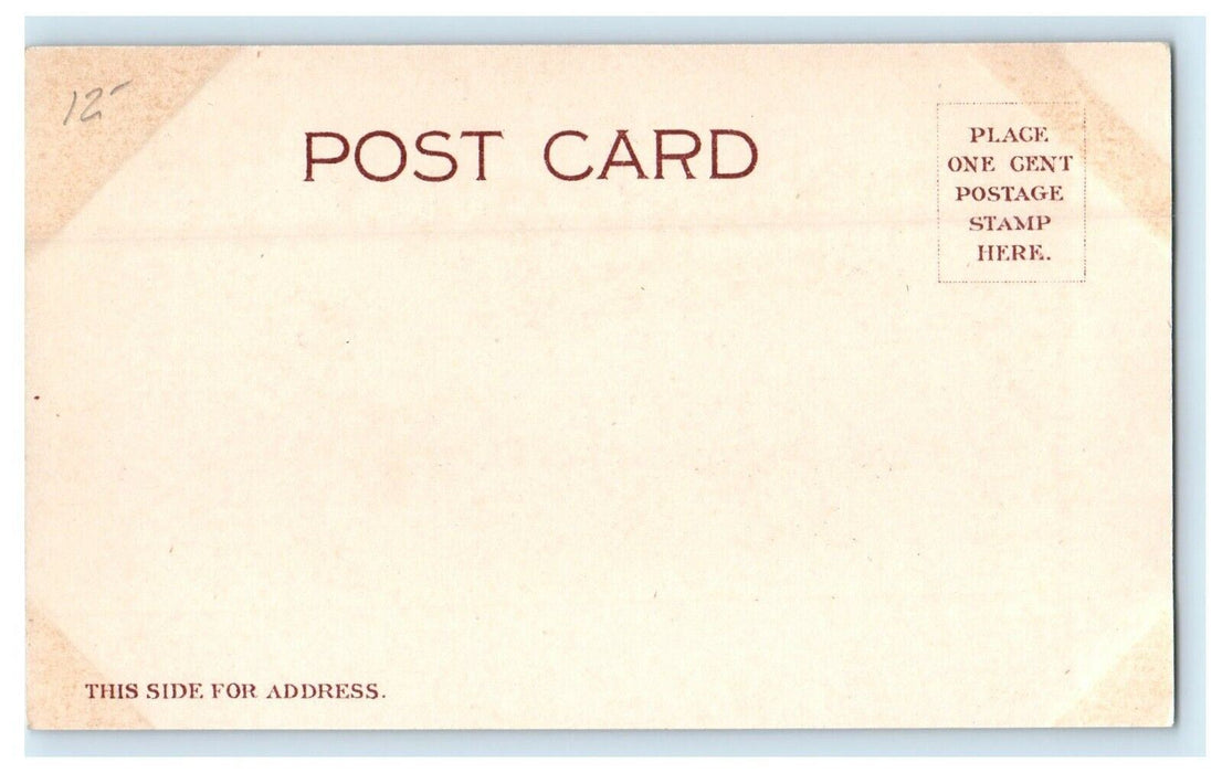 The Mummy Hummingbird Theater Jules Murry's Company Advertising Humor Postcard