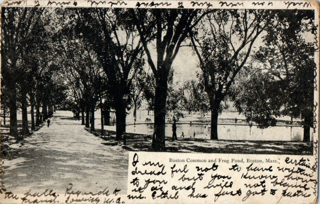 1905 Boston Common and Frog Pond, Boston, Massachusetts MA Posted Postcard