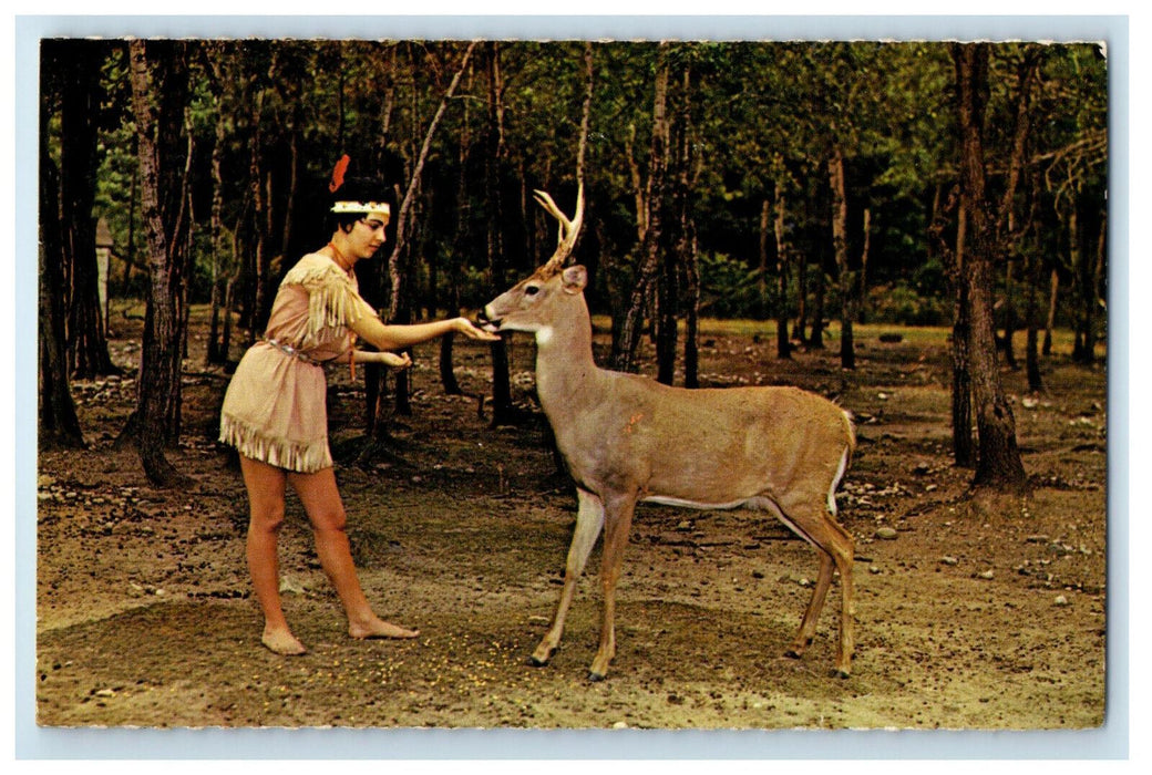 1967 Feeding Deer Wisconsin Deer Park Winsconsin Dells Posted Postcard