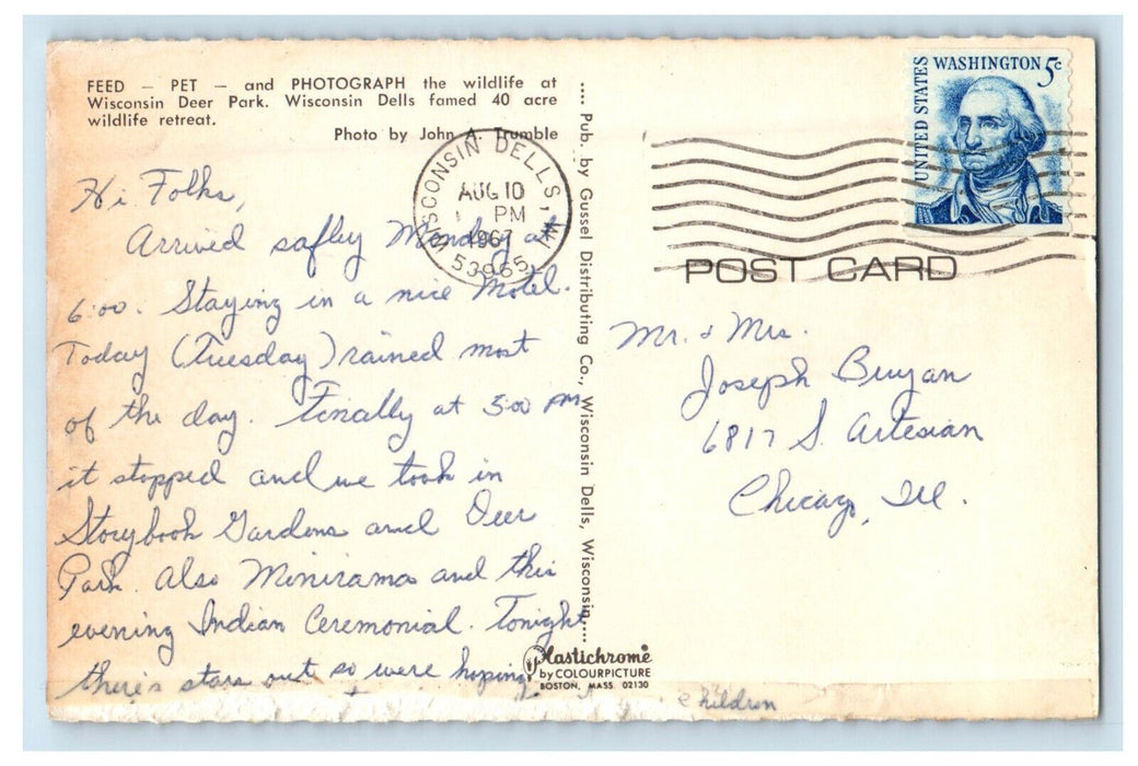 1967 Feeding Deer Wisconsin Deer Park Winsconsin Dells Posted Postcard