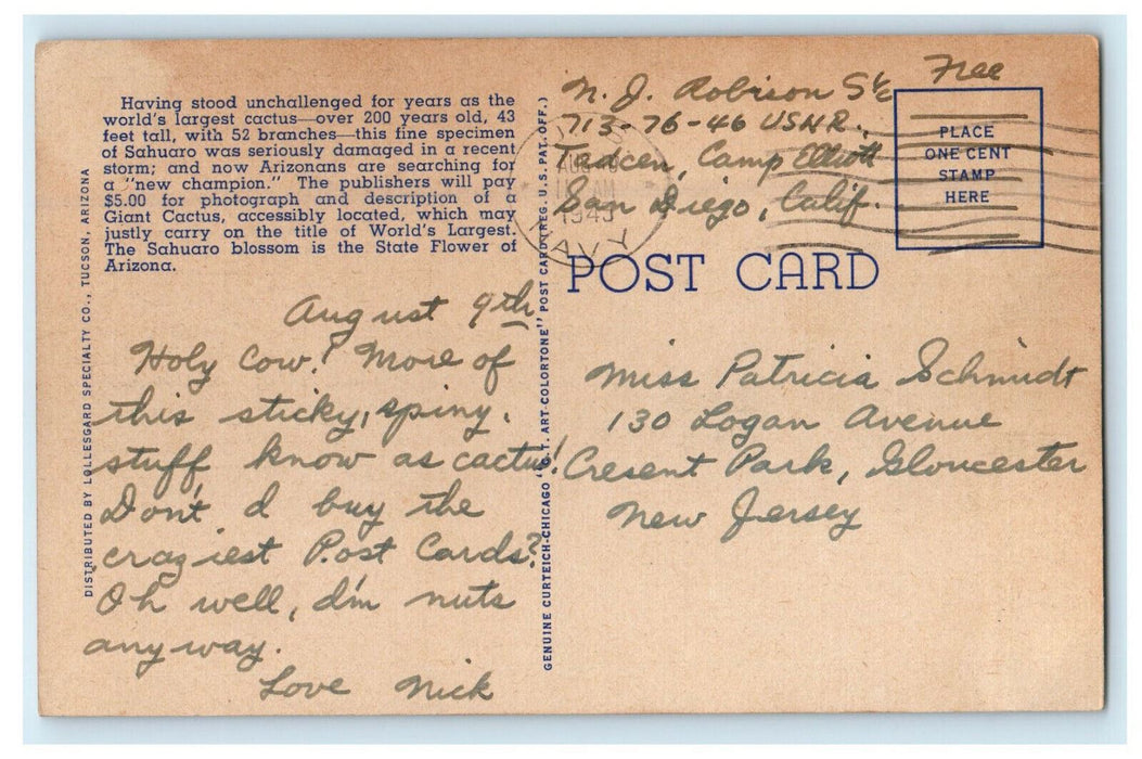1945 World's Largest Sahuaro Cactus, State Flower of Arizona AZ Postcard
