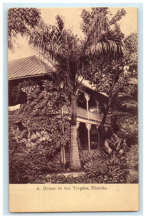 c1905s Big House Standing in the Tropics, Florida FL Posted Antique Postcard
