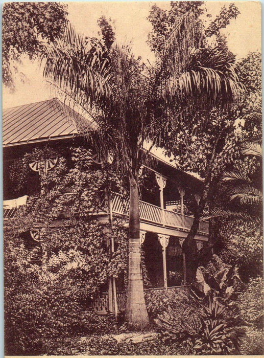 c1905s Big House Standing in the Tropics, Florida FL Posted Antique Postcard